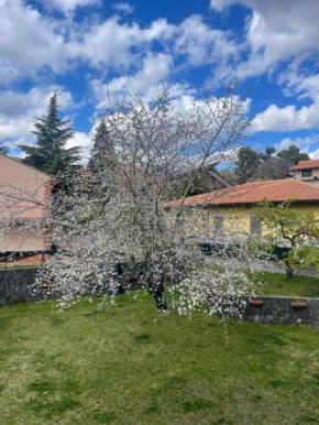 Etna sotto il ciliegio Ragalna 